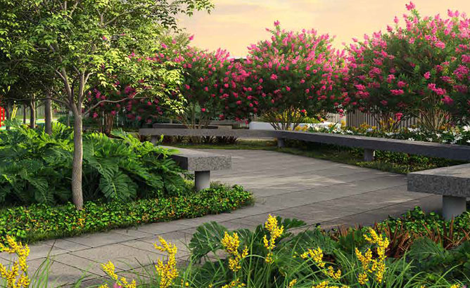 nature garden nature garden